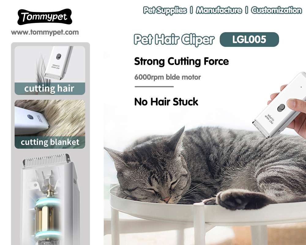 Tricks und Tipps, um das Beste aus dem besten professionellen Vakuum-Haustier-Haarschneider-Haarschneider für Katzen zu machen