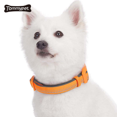 2021 OEM verstellbare Nylon-Hundehalsbänder Custom Training Haustier-Hundehalsband