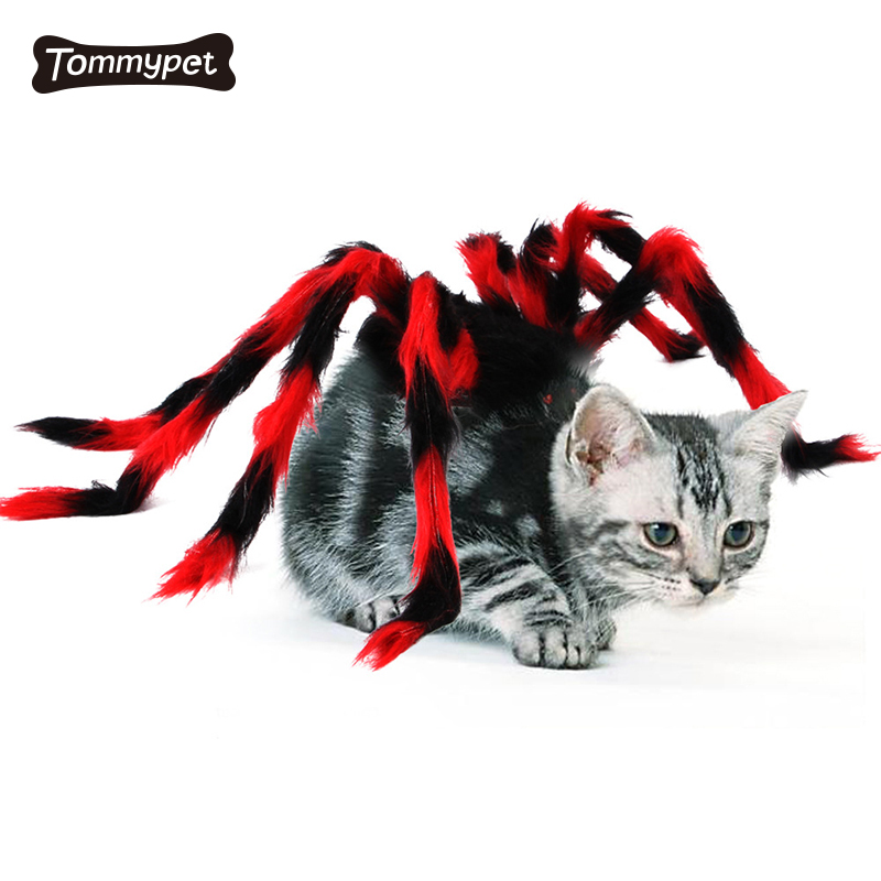 Haustier Halloween Weihnachten Brust Zurück Kreative Katze Hund Kleiner Hund Spinne Transformation Kostüm Haustier Tuch