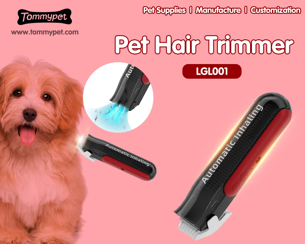 Dinge, die Sie nie vergessen sollten, wenn Sie einen Vakuum-Haustier-Haarschneider für Hunde und Katzen verwenden
