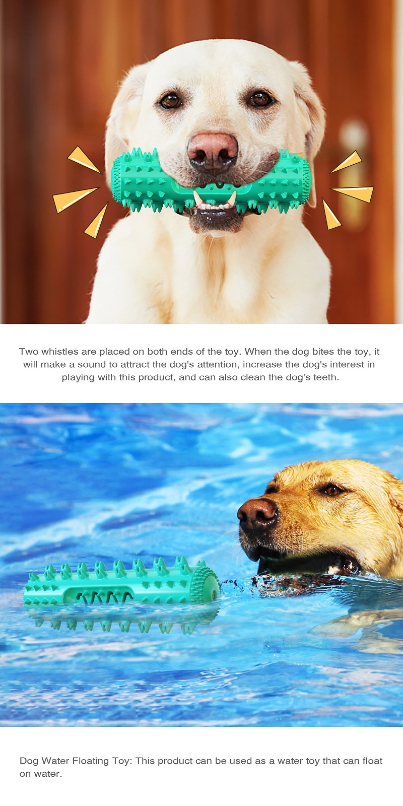 Amazon Bestseller TPR Zahnreinigung Gezahnte Molarenstange Hundezahnbürste Chew Quietschendes Haustier Hundespielzeug