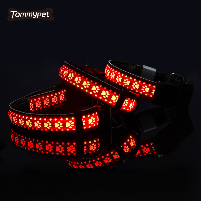 2021 Factory Night Safety Flashing Glow In The Dark Custom fluoreszierende LED Hundehalsbänder
