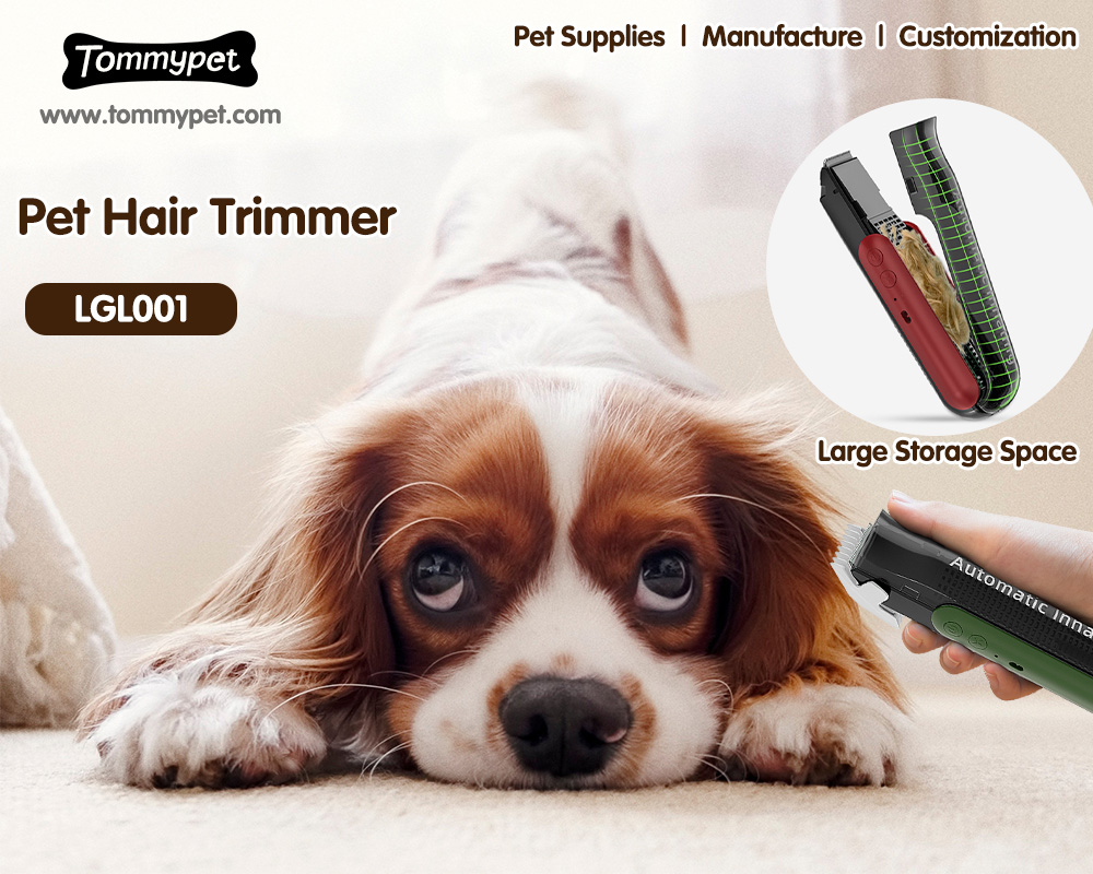 So erhalten Sie Ihr Haustier, um mit einem besten professionellen Vakuum-Haustier-Haarschneider bereit zu sein