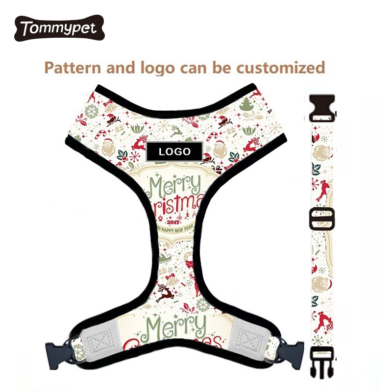 2021 Factory Oem Customized Custom Logo Print Pattern verstellbares Hundegeschirr-Kragen-Set