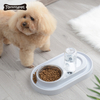Luxus Smart Auto Automatischer Haustier Hund Katzenfutter Wasserspender Flaschenschüssel Futterautomat