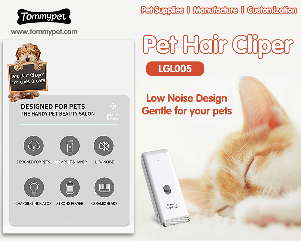 Können Anfänger-Anfänger-Pet-Haarschneider-Haar-Clippers für Hunde und Katzen verwenden?