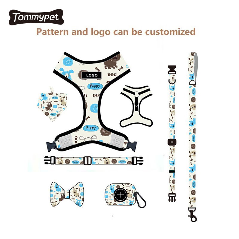 OEM odm akzeptieren personalisierte verstellbare leichte Custom Print Hundehalsbandleine und Wendegeschirrset mit Hund