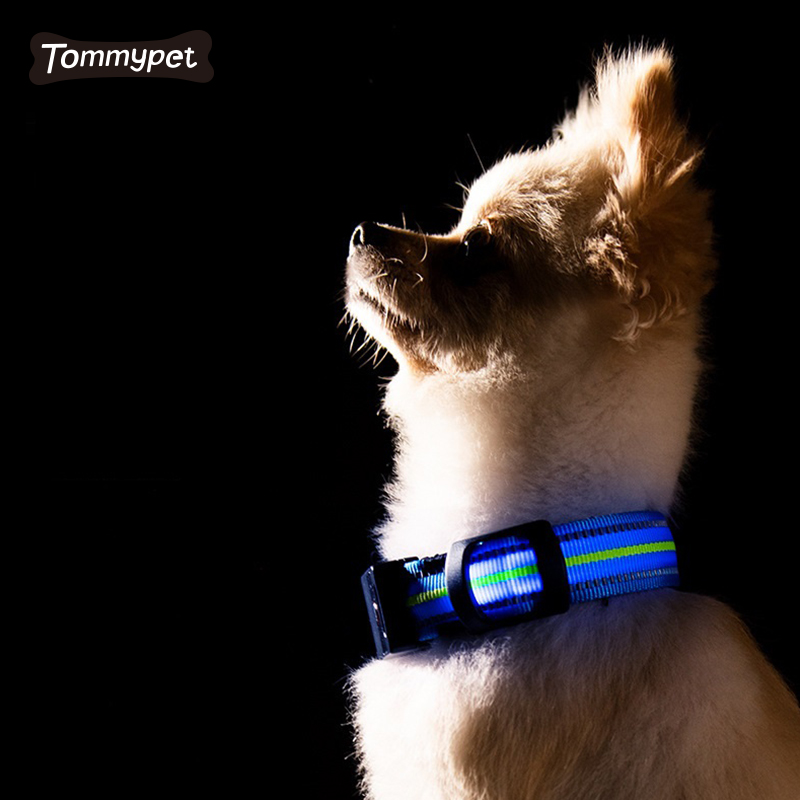 2021 Nachtsicherheit blinkendes Leuchten im Dunkeln wasserdichtes reflektierendes Nylon-Haustier-LED-Hundehalsband