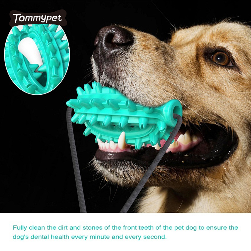 Hochwertiges Gummi Haustier gezackte Bälle Zähneknirschen Single Saugnapf Kauen Hundespielzeug