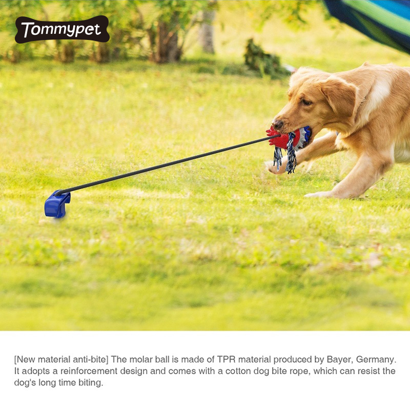 Amazon Best Sale Bissfeste Farbe Training Haufen Hund Kauspielzeug Zahnbürste Silikon Zähne Sauber Stick Benutzerdefinierte Haustier Gadgets Spielzeug