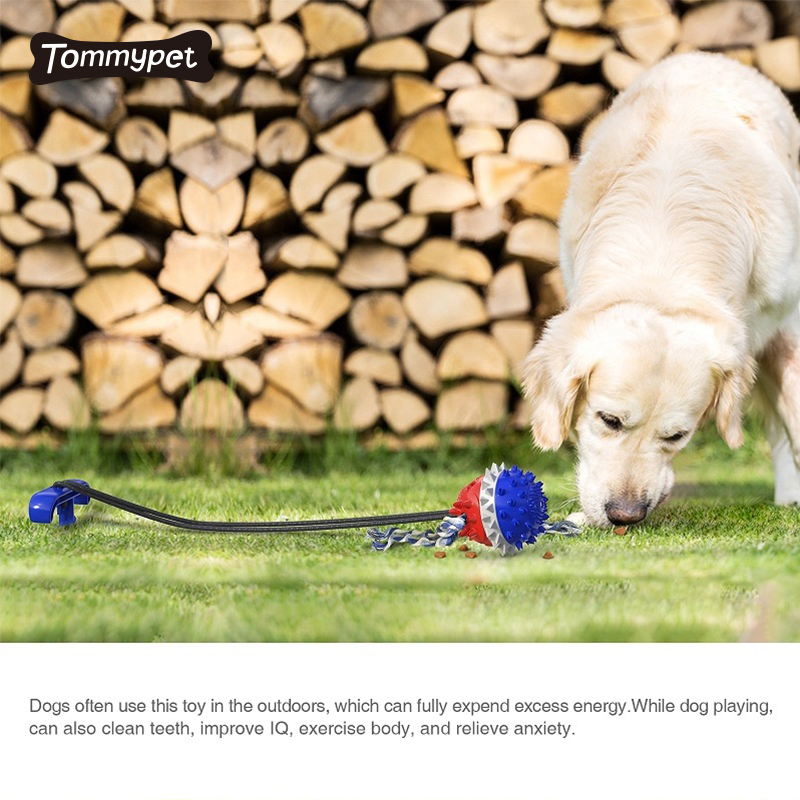 Amazon Best Sale Bissfeste Farbe Training Haufen Hund Kauspielzeug Zahnbürste Silikon Zähne Sauber Stick Benutzerdefinierte Haustier Gadgets Spielzeug